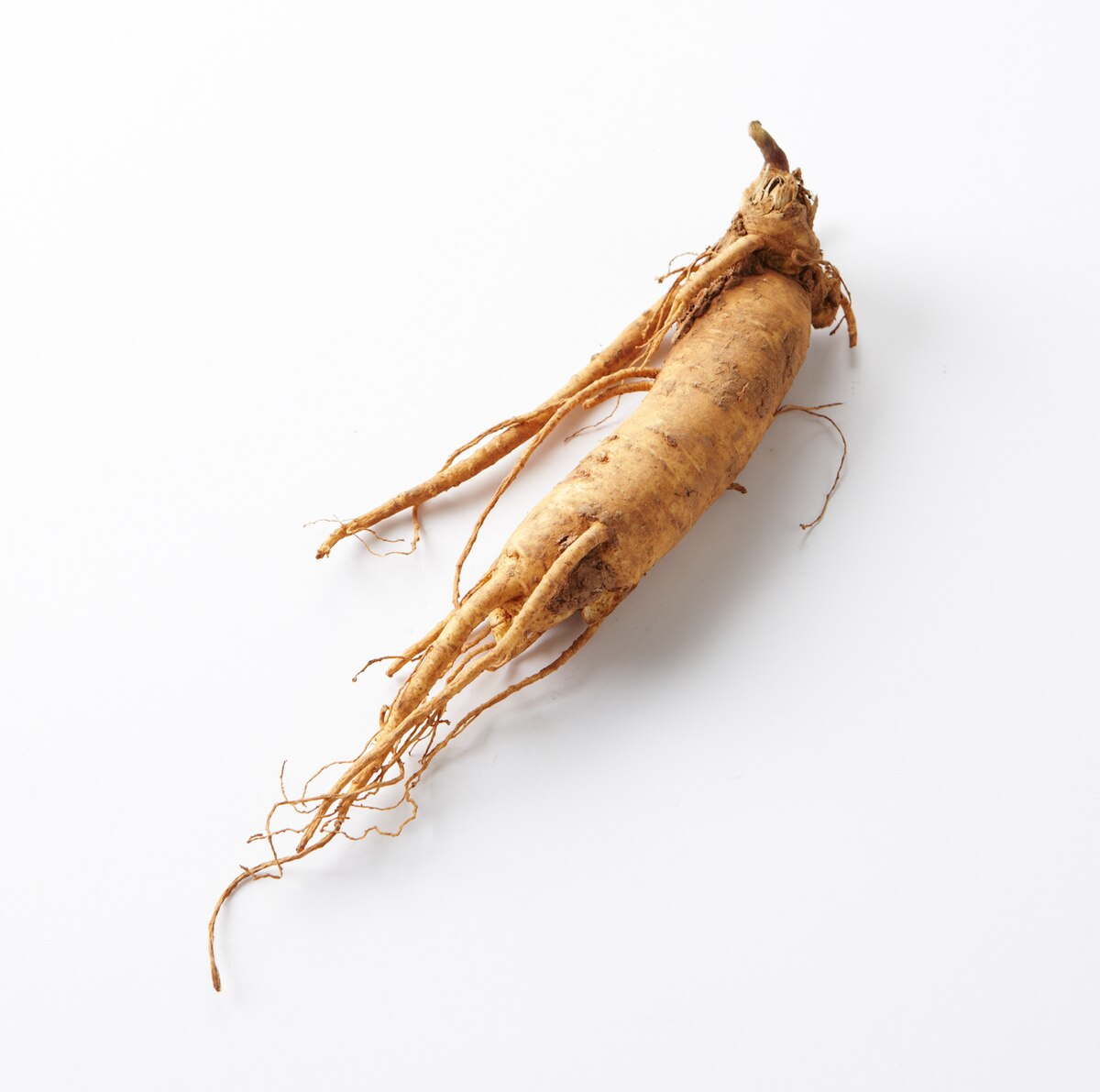 GINSENG H.P.L.C